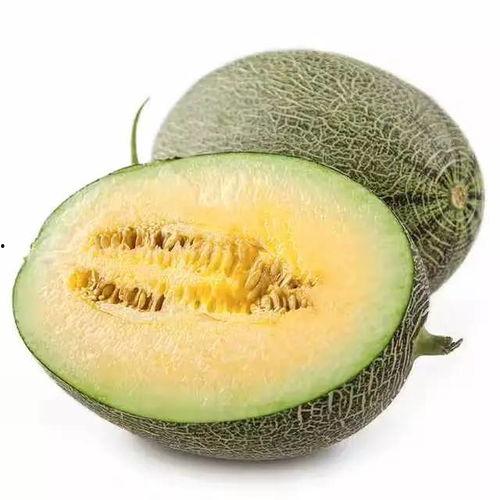 让吃蜗瓜啥意思,探寻“让吃蜗瓜”背后的趣味与智慧