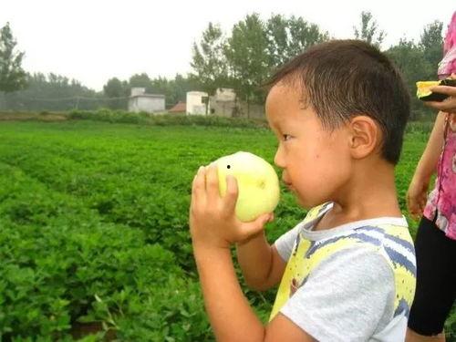 闻闻吃瓜,揭秘娱乐圈的甜蜜与苦涩