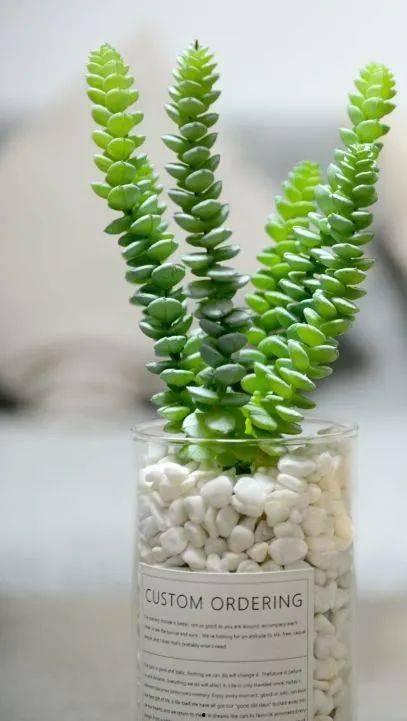 高温天气唯有吃瓜,唯有吃瓜解暑降温