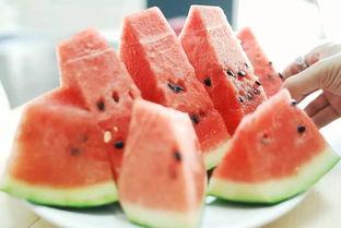 舞阳吃瓜事件最新,揭秘网络舆论的风暴与真相