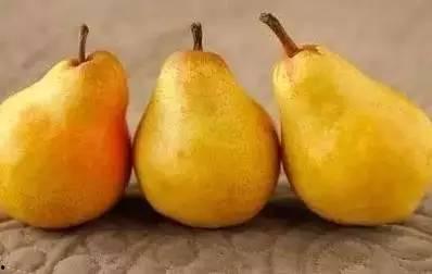 出伏吃蜜不吃瓜,甜蜜蜜瓜与甜蜜蜜食的养生智慧