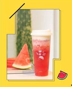 茶瓜瓜吃瓜,茶瓜瓜的瓜界探险之旅