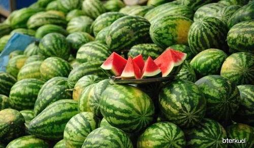 吃身边朋友的瓜,一场友谊的“瓜”之旅