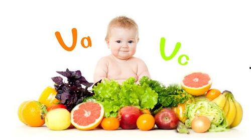 乳瓜婴儿怎么吃,乳瓜婴儿辅食制作与食用指南