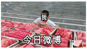 冲在吃瓜最前线,揭秘娱乐圈幕后风云