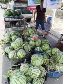 麻城吃瓜事件真相,揭秘背后真相与反思