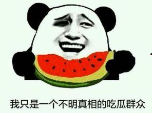 火爆吃瓜小说名,揭秘网络热传小说背后的真实故事