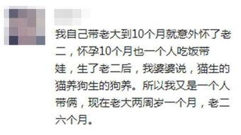 观众吃瓜全文,揭秘娱乐圈幕后真相