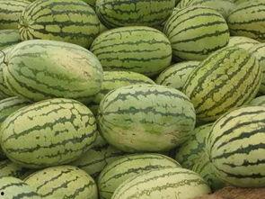 吃瓜信阳,吃瓜群众的美食之旅