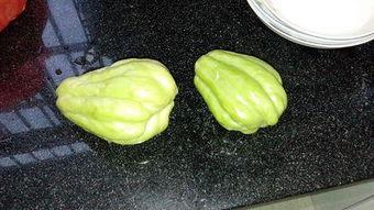 兔儿瓜多久能煮熟吃,美味即刻享用